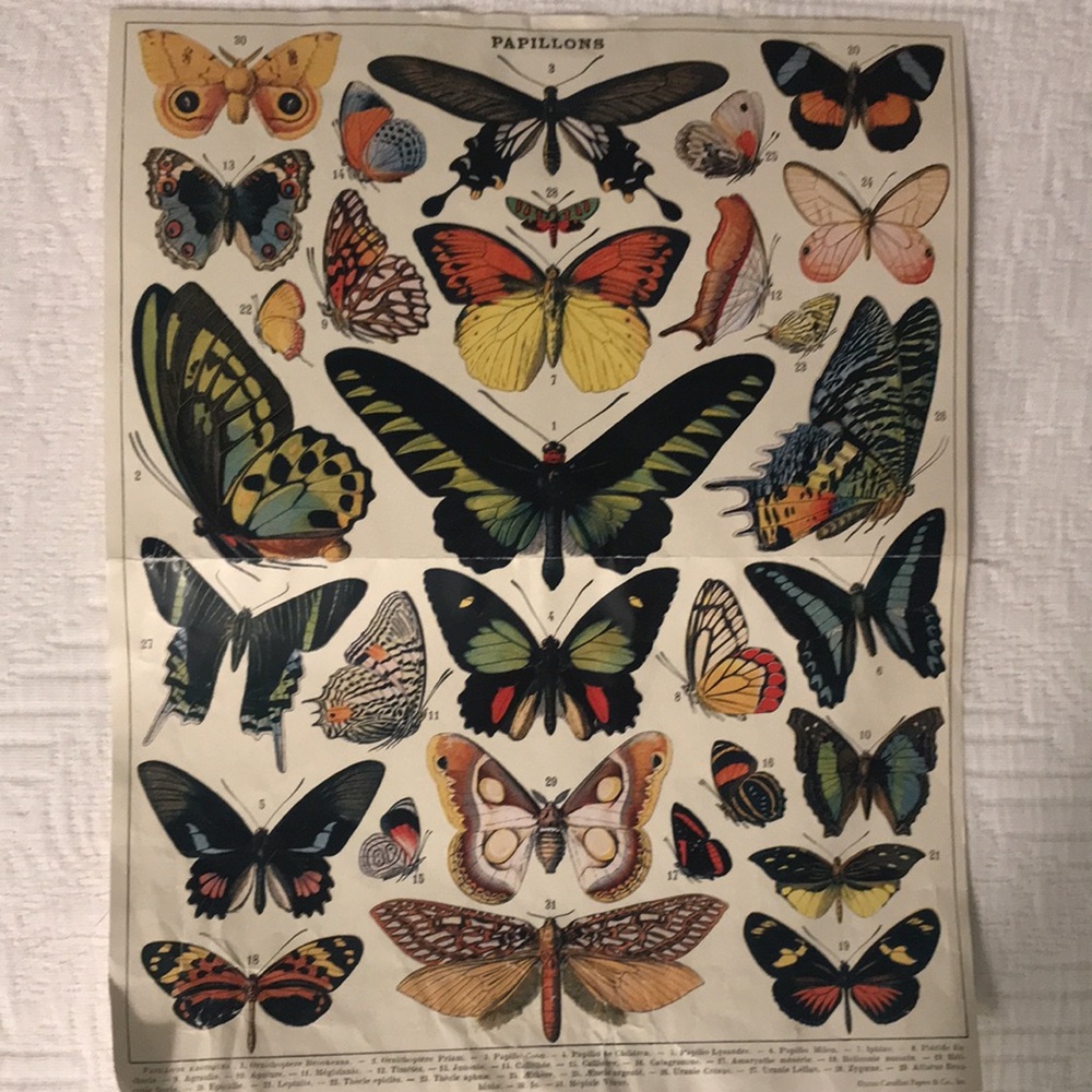 Cavallini & Co Vintage Butterflies Puzzle 1000 Pieces - Picture 12 of 14